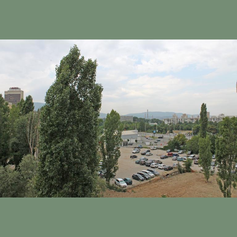 Flora Apartment Centrum Sofia Cameră foto